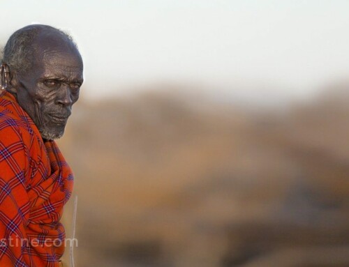 Elder Chief – Kenya